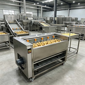 <span class=keywords><strong>Prix</strong></span> Compétitif pour Machine Automatique à Rouleaux Brossants pour le Lavage, le Polissage et le Pelage <span class=keywords><strong>du</strong></span> Gingembre, des Pommes <span class=keywords><strong>de</strong></span> Terre et des Carottes, Machine à Laver les Fruits - Product Image 3
