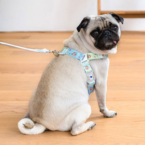 Harnais pour chien PororoPet Poby, modèle gilet, réglable, respirant, en maille, avec design croisé au dos, ensemble de promenade pour chien, harnais pour chiot - Product Image 3