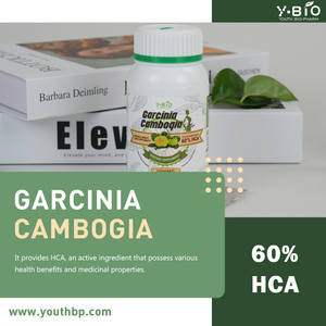 Suplemen Makanan Kapsul Garcinia Cambogia Pendukung Penurunan Berat Badan untuk Manajemen Tubuh Sehari-hari Tersedia dalam Berbagai Kelompok Suplemen Herbal - Product Image 3
