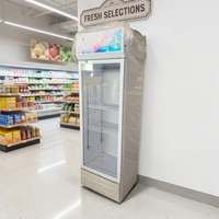 Réfrigérateur commercial vertical 300L pour boissons, vitrine réfrigérée avec porte vitrée pour la présentation de boissons