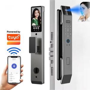 Meilleure vente Tuya Smart WiFi Lock 3D Reconnaissance faciale Serrure de porte pour portes en bois et acier Carte mémoire Données pour appartements Familles - Product Image 1