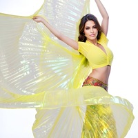 Jh948 danse indienne égyptienne couleur transparente rouge jaune bleu danse du ventre ailes dorées accessoires