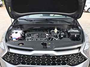 Vehículos Usados, Distribuidor Mayorista de Autos, 2023, Sportage, Estilo Moderno, Alternativa a los Autos <span class=keywords><strong>Deportivos</strong></span> Usados - Product Image 3