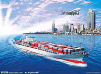 Transport de conteneurs maritimes en Europe - Spécialistes des charges en conteneurs complets (FCL) - Conteneurs secs 20 pieds/40 pieds en acier SPA-H de haute qualité