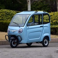 Tricycle électrique entièrement fermé pour adultes, scooter de mobilité à 3 roues, tricycles électriques chinois pour adultes sans permis