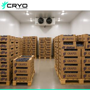 Táo Lê Berry nho Kiwi Cherry kiểm soát không khí lưu trữ phòng lạnh ca lưu trữ cho trái cây và rau quả - Product Image 2