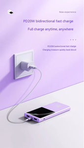 Power Bank Personalizzato da 20000mAh con Ricarica Rapida PD, Caricabatterie Portatile Tipo C per Cellulari, Cavo Opzionale - Product Image 6