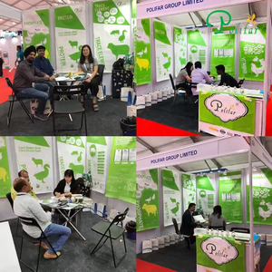 ויטמין <span class=keywords><strong>B1</strong></span> HCL תיאמין Hydrochloride כיתה להאכיל <span class=keywords><strong>VB1</strong></span> אבקת עבור בעלי חיים בריאות - Product Image 6