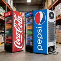 Réfrigérateur vertical de présentation de boissons, distributeur mondial, garantie 3 ans, vitrine de boissons, refroidisseur de cola, porte en verre