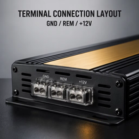 Amplificateur de puissance numérique pour voiture mono 12V classe D monocanal 4000W Modèle W-K3500.1D