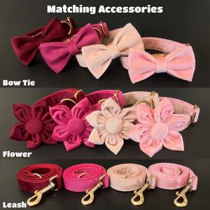 Collar Rojo Personalizado para Perro con Grabado, Juego de Correa y Corbatín - Product Image 3