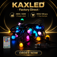 Guirlandes lumineuses extérieures étanches IP65 E27 RGB avec télécommande en PVC et caoutchouc pour mariage, fête, vacances, Noël
