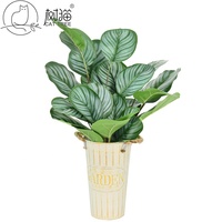 Batang Daun Calathea Buatan 3D Printing Warna Hijau Putih untuk Dekorasi Rumah dan Rangkaian Bunga