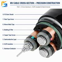 Cable de Alimentación de Alta Tensión de 15kV, Cobre Desnudo Trenzado 3*240mm, Aislamiento XLPE, con Certificación CE ISO