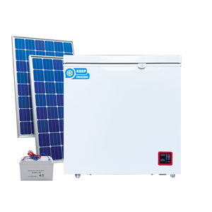 Congélateur solaire 100l/<span class=keywords><strong>200l</strong></span>/300l/400l pour petit commerce avec compresseur, porte simple, idéal pour climat chaud et stockage hors réseau - Product Image 1