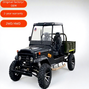 Vehículo Todoterreno Eléctrico RC Clásico de Turismo 4x4 350cc, Buggy para Adultos, Certificado CE, Batería de Plomo-Ácido, Garantía de 2 Años, 2/4/6 Plazas - Product Image 1