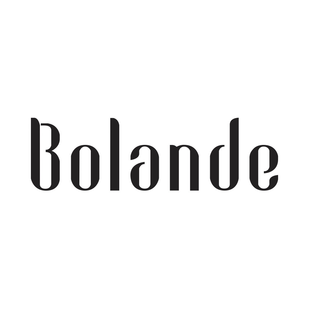FOSHAN BOLANDE INDUSTRIAL CO., LTD. logo