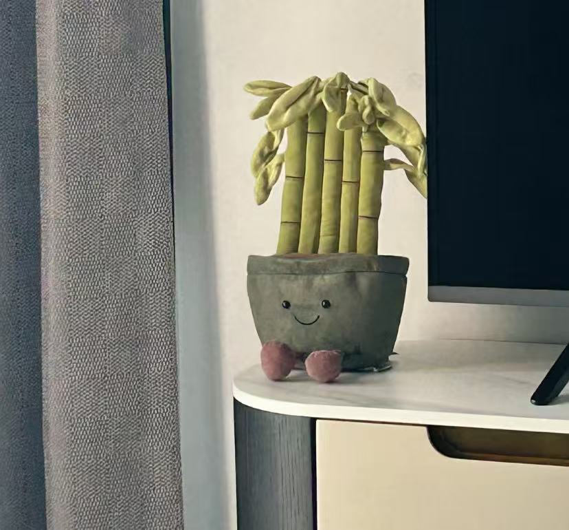 Bambú de la suerte 30*13cm