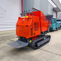 Livraison gratuite, mini-chargeur à benne basculante pour travaux de construction, micro-chargeur à chenilles en caoutchouc, alimenté à l'essence, pour utilisation dans le jardin