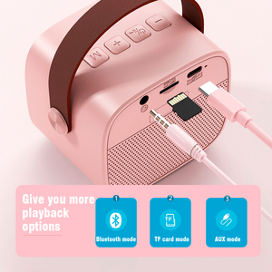 Altoparlante Karaoke Portatile KENUO HIFI Ricaricabile con Audio Surround e Microfono Wireless per Esterni - Product Image 4