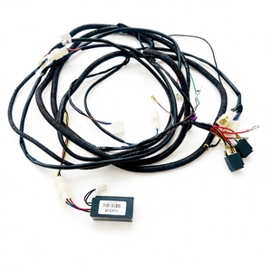موصل سيارات مخصص من نوع Molex TE ذكر إلى أنثى، مصنّع أسلاك السيارات، ضفيرة أسلاك السيارات - Product Image 3