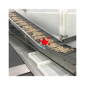 Nouveau séchoir à chaîne à mailles plates en acier inoxydable de haute qualité, 2 couches, résistant à la chaleur, vitesse réglable, pour la restauration - Product Image 6