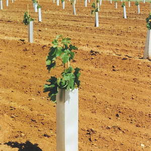 Couverture <span class=keywords><strong>de</strong></span> protection <span class=keywords><strong>pour</strong></span> plantes <span class=keywords><strong>de</strong></span> <span class=keywords><strong>jardin</strong></span>, <span class=keywords><strong>pour</strong></span> troncs et arbres, feuilles ondulées, en PP ajouré, <span class=keywords><strong>pour</strong></span> semis - Product Image 3