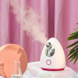 Vaporizador Facial Portátil de Escritorio con Logotipo Personalizado, Sauna Facial Nano Iónica para Uso Doméstico con Enchufes AU, US y CN - Product Image 4