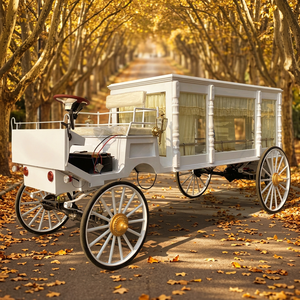 Carroza fúnebre eléctrica de cuatro ruedas de alta calidad, personalizada, con asiento para el conductor, para procesiones funerarias y transporte de ataúdes. - Product Image 1