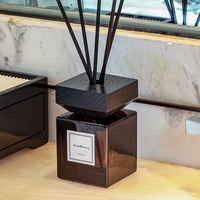 Diffuseur de parfum en verre carré artisanal exquis pour une vie confortable et douillette, idéal pour la table ou la vitrine de magasin