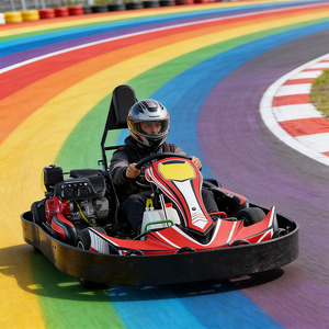 Kart à essence haute vitesse 270cc, kart à essence pour adultes, kart pour <span class=keywords><strong>location</strong></span> commerciale sur circuit extérieur - Product Image 4