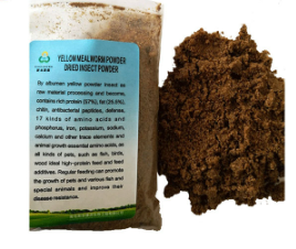 100% makanan Mealworm kuning murni bubuk Mealworm bubuk Protein serangga untuk pakan hewan bubuk Mealworm kering - Product Image 5