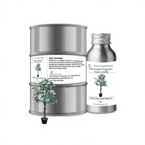 Parfum d'eucalyptus écologique, liquide longue durée pour spa et relaxation, produit WS de qualité supérieure - Product Image 1