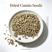 Graines de cumin entières nettoyées de haute pureté pour la transformation alimentaire, vente en gros sur mesure