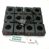 Machine à effets pyrotechniques sans fil à télécommande, 12 canaux, batterie rechargeable, intérieur/extérieur, fontaine froide de scène