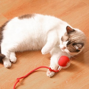 Interactive Toys Training Self-moving Catnip Toys for Cat Electric Pet <b>Ball</b> Automatic Rolling <b>Ball</b> Smart Cat Toys - Product Image 1