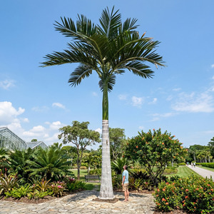 Rey Artificial Cocotero Forjado Árbol de coco Grandes palmeras artificiales Venta Decoración al aire libre - Product Image 5