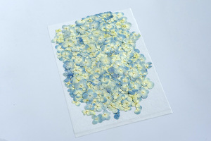Hydrangea bleu naturel, fournitures pour la création de cartes, bijoux en résine, plante naturelle, fleur pressée véritable, écologique - Product Image 4