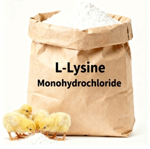 Additivi Chimici per Mangimi, Lisina L-HCL Grado Alimentare per Pollame, Sacchi da 25kg, 98.5% L-lisina Solfato 70% - Product Image 1