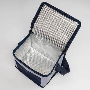 Boîte à lunch isotherme pour hommes, femmes et adultes, petit sac à lunch pour le bureau, le travail, les pique-niques - Product Image 6