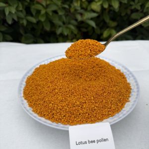 Polen de Abeja XINGBO Lotus, Polen de Abeja de Alta Calidad, Polen de Abeja Orgánico en Oferta, Polen de Abeja al por Mayor - Product Image 4