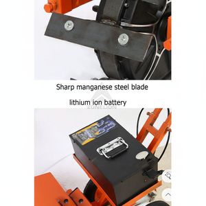 Tondeuse à gazon électrique facile à utiliser Petite machine à conducteur marchant pour tous les terrains Équipement agricole - Product Image 1