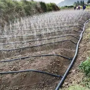 เกษตรเกษตรฝนสเปรย์เทประบบชลประทานเลเซอร์พรุนไมโครสเปรย์เทปฝนท่อ