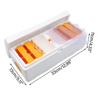 Nouvelle boîte d'accouplement double pour reines d'abeilles, en plastique, avec mousse pollinisatrice, outil de ruche pour l'élevage, mini ruche