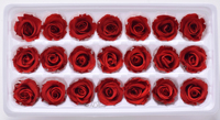 Vente Flash : Têtes de Roses Éternelles Naturelles Effet Réel (2-3cm) – Boîte de 21 Pièces – Idéales pour la Fête des Mères, la Saint-Valentin et les Décorations de Noël – Direct Usine