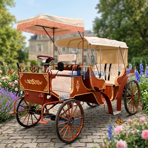 Calèche électrique de transport spécialisée, calèche de tourisme multi-rangs, calèche royale en bois pour le tourisme - Product Image 1