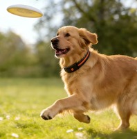 Collier intelligent pour chien avec moniteur de fréquence cardiaque, interaction humaine, suivi GPS/LBS, étanche IP67, batterie 20+ heures, communication avec les animaux de compagnie