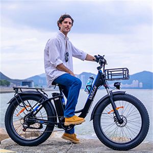 1500w Moteur Double Moteur Gros Pneu Double Frein À Disque 48v Moteur Ebike Cadre Suspension Complète VTT Vlo Lectrique 7 Vitesses 20AH - Product Image 2