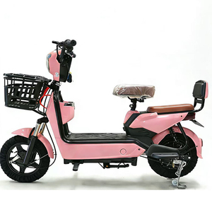 Vélo Électrique Urbain pour Adultes 1000W 20 Pouces / Moteur Central 48V Haute Puissance Économique avec Moteur Électronique et Commande de Vitesse - Product Image 1