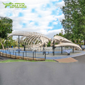 Giáo Dục Kích Thước Cuộc Sống Động Vật Thực Tế Bộ Xương Cá Voi - Product Image 6